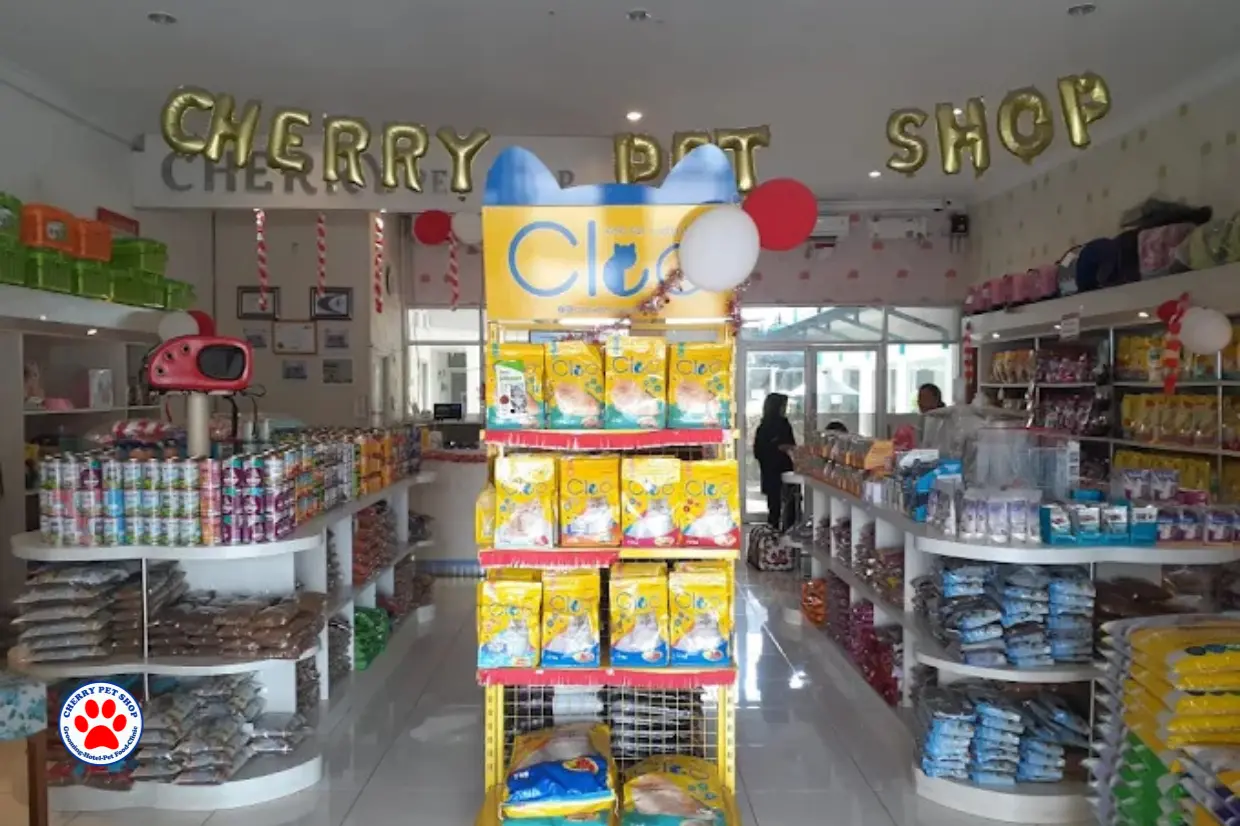 Mengapa Cherry Pet Clinic Jadi Favorit Warga Cilacap?